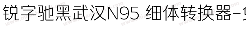 锐字驰黑武汉N95 细体转换器字体转换